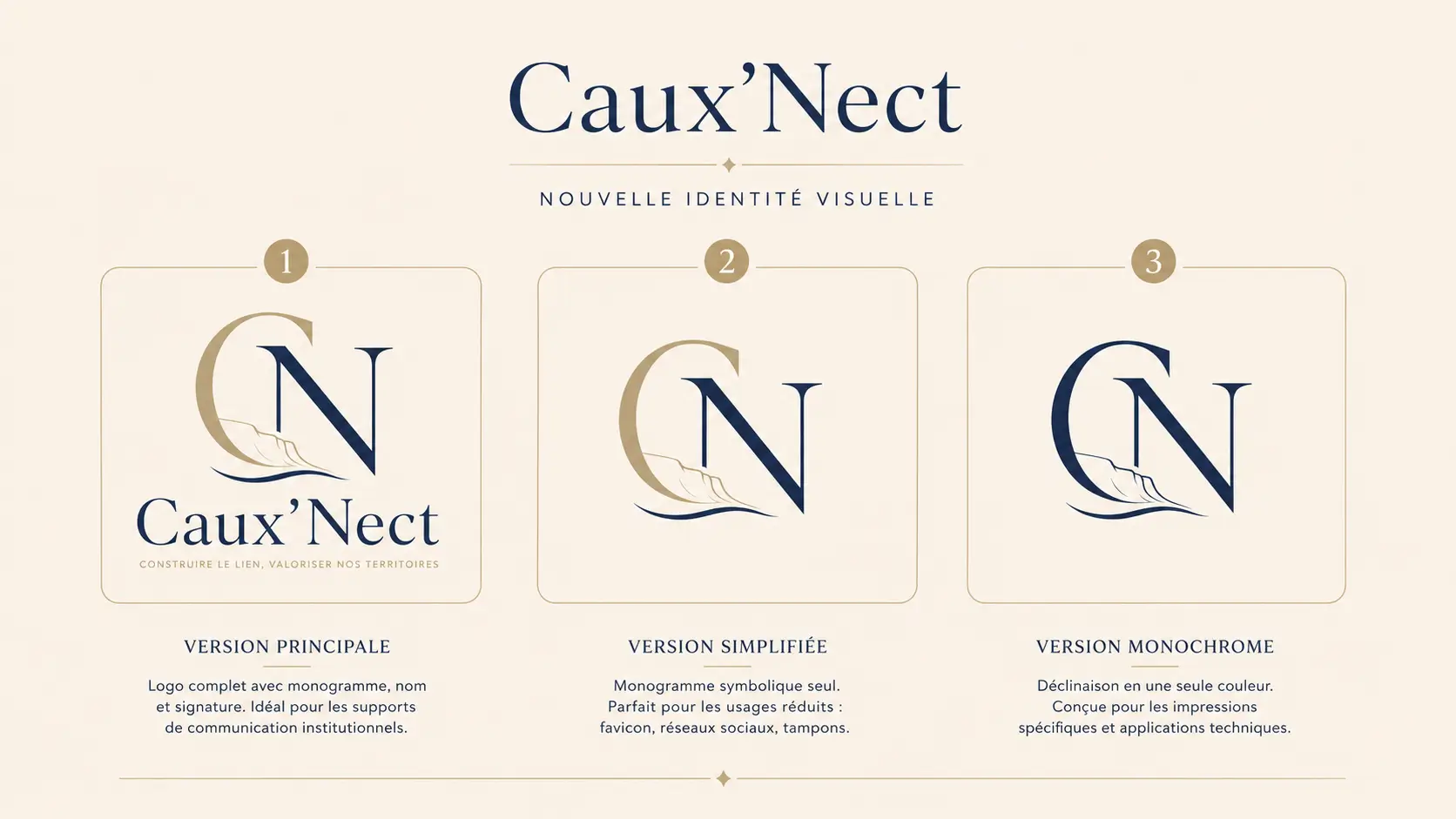 cauxnect version 3 logos