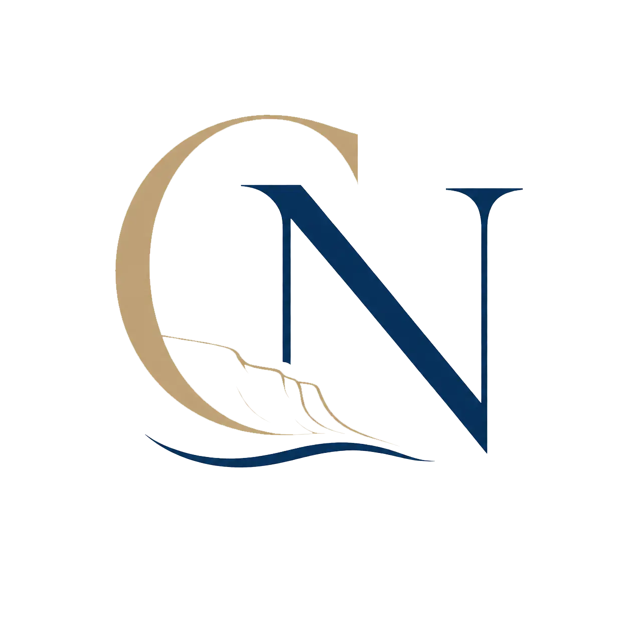 transparent logo